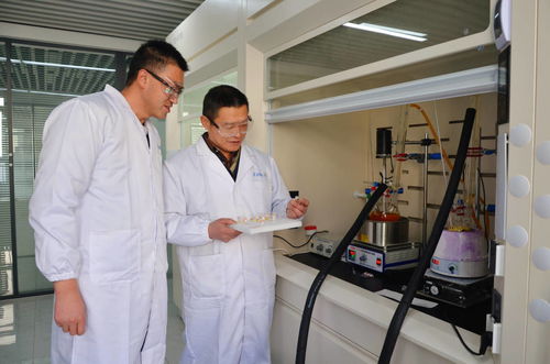 科技创新引领绿色化工 山东智永化工以科技服务助推化工产业发展侧记