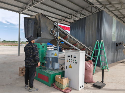 残膜“重生” 关键技术突破引领地膜回收与高值化利用新篇章