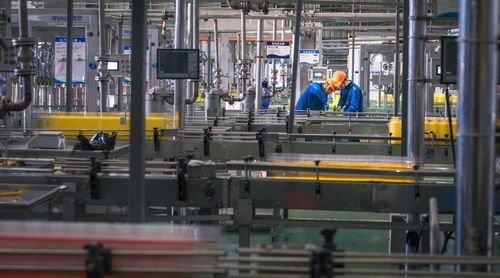 新安化工未来工厂 生物化工产品技术研发的创新前沿