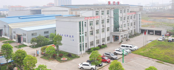 引领未来 卓越的生物化工产品与技术研发之路