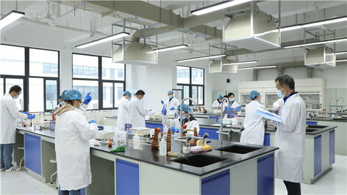 强化技能比拼主阵地 筑牢质量安全防线——泸江首届检验检测机构检验能力比对比武在四川化工职业技术学院举办